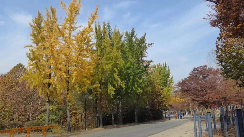 Korea autumn landscape