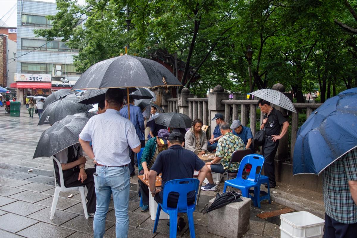 People sheltering under umbrellas during summer rain beside Tapgol Park in Seoul